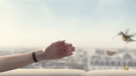 Анимация Колибри подлетает и опускает в руку девушке ситечко для чая