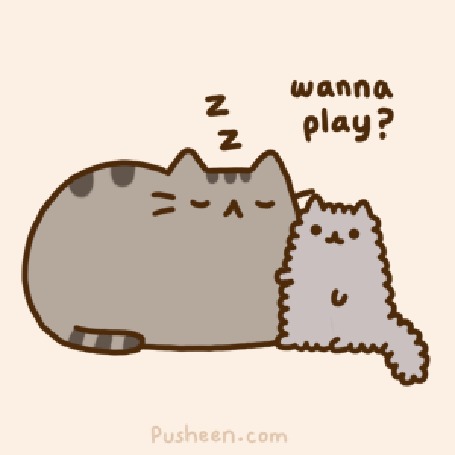 Анимация Котенок очень хочет поиграть с Пушином (wanna play?)