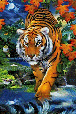 Анимация Тигр стоит на камнях опустив лапу в ручей, гифка Тигр стоит на камнях опустив лапу в ручей