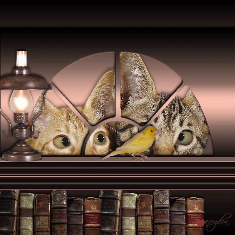 Анимация Два кота следят, как желтая канарейка прыгает по книжному шкафу, на шкафу стоит керосиновая лампа, гифка Два кота следят, как желтая канарейка прыгает по книжному шкафу, на шкафу стоит керосиновая лампа