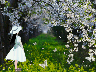 Анимация Девушка с темными длинными волосами в белой шляпе и в белом платье стоит на траве на аллее на фоне цветущего дерева и белых бабочек, гифка Девушка с темными длинными волосами в белой шляпе и в белом платье стоит на траве на аллее на фоне цветущего дерева и белых бабочек