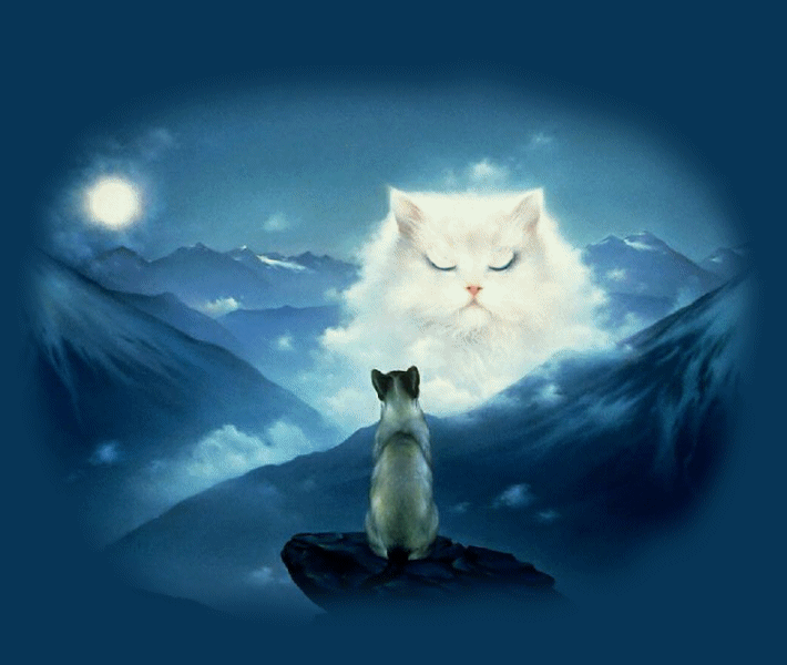 Гиф анимация Кошка сидит на скале в горах и наблюдает за белой кошкой с  голубыми глазами, созданную из тумана