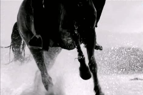 Лошади в снегу. Мужчина на лошади. Лошади гифки. Черный всадник.