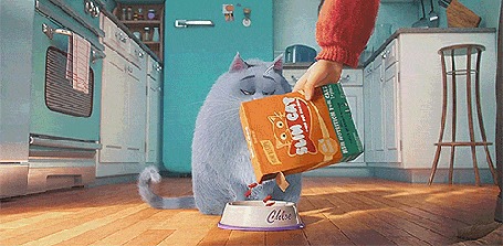 Анимация Кошка Хлоя персонаж из мультфильма Тайная жизнь домашних животных / The Secret Life of Pets