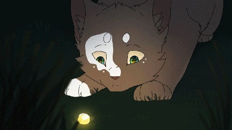 Анимация Кошка смотрит и дует на светлячка, by Spiritaelia
