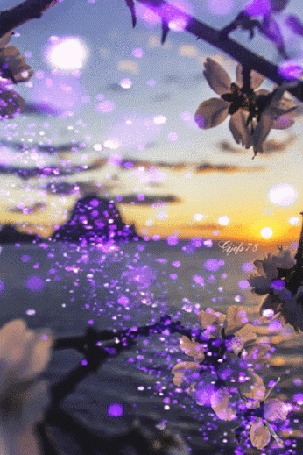 Анимация Весенняя ветка на фоне заката над морем