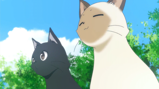 Анимация Чито / Chito и Кенни / Kenny из аниме Полет ведьмы / Flying Witch, гифка Чито / Chito и Кенни / Kenny из аниме Полет ведьмы / Flying Witch