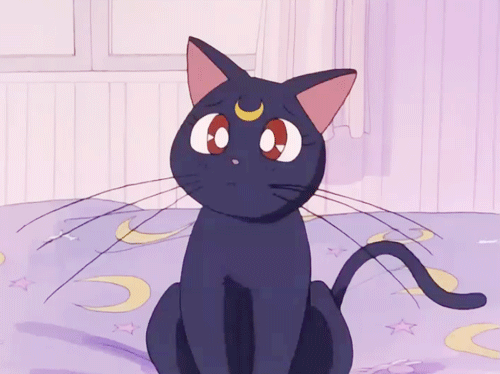 Gif Animaciya Luna Cat Kot Luna Govoryashaya Temno Sinyaya Koshka Iz Anime Sailor Moon Sejlor Mun