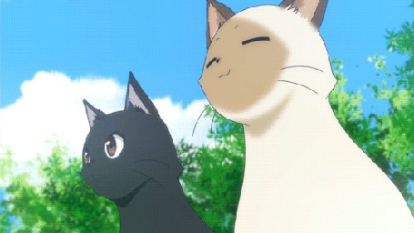 Анимация Чито / Chito и Кенни / Kenny из аниме Полет ведьмы / Flying Witch