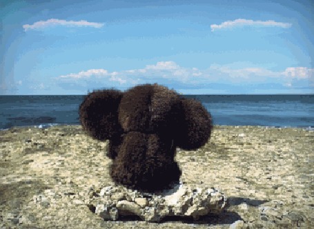 Аанимации Чебурашка сидит на камне и смотрит на волны