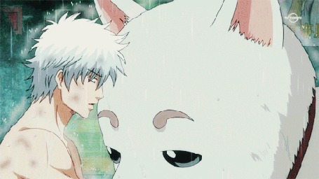 Анимация Гинтоки Саката / Gintoki Sakata и Садахару / Sadaharu из аниме Гинтама / Gintama