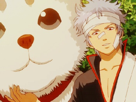 Анимация Гинтоки Саката / Gintoki Sakata и Садахару / Sadaharu из аниме Гинтама / Gintama