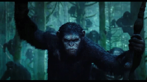 Анимация Кадры из фильма Dawn of the Planet of the Apes / Планета обезьян: Революция, 2014, гифка Кадры из фильма Dawn of the Planet of the Apes / Планета обезьян: Революция, 2014