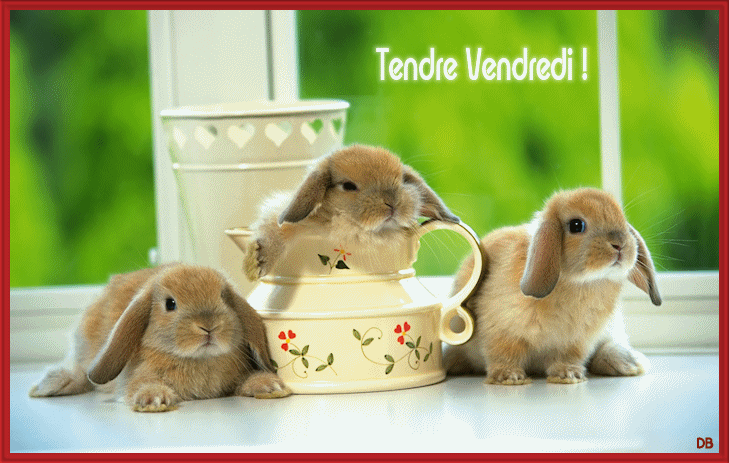 Анимация Кролики на фоне посуды (Tendre Vendredi!), гифка Кролики на фоне посуды (Tendre Vendredi!)