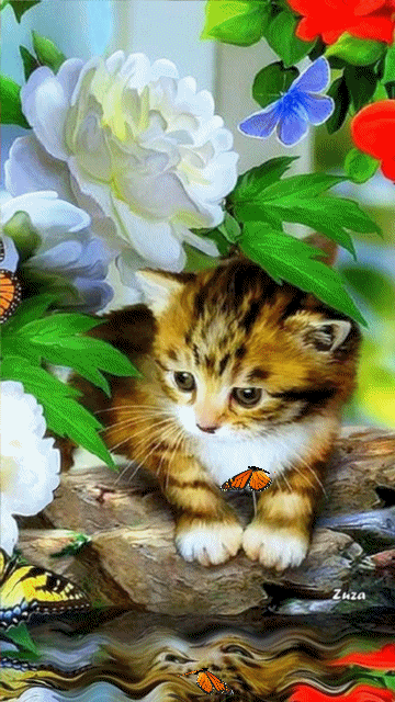 Анимация Серый котенок на берегу водоема на фоне цветов и бабочек, by Zuza, гифка Серый котенок на берегу водоема на фоне цветов и бабочек, by Zuza
