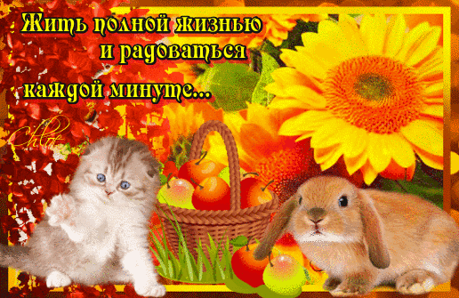 Анимация Солнечная анимация с подсолнухом, котенком и кроликом, корзина с сочными яблочками (Жить полной жизнью и радоваться каждой минуте.), гифка Солнечная анимация с подсолнухом, котенком и кроликом, корзина с сочными яблочками (Жить полной жизнью и радоваться каждой минуте.)