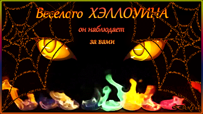Анимация Кошачьи глаза смотрят сквозь паутину (Веселого Хеллоуина, он наблюдает за вами), гифка Кошачьи глаза смотрят сквозь паутину (Веселого Хеллоуина, он наблюдает за вами)