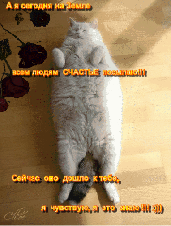 Анимация Кот лежит на спине, лапки сложил на груди, цветы вокруг (А я сегодня на Земле всем людям СЧАСТЬЕ посылаю! Сейчас оно дошло к тебе, я чувствую, я это знаю!:)))), гифка Кот лежит на спине, лапки сложил на груди, цветы вокруг (А я сегодня на Земле всем людям СЧАСТЬЕ посылаю! Сейчас оно дошло к тебе, я чувствую, я это знаю!:))))