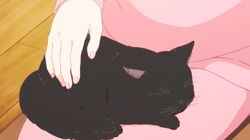 Анимация Кот Дару / Daru из аниме Она и ее кот: Все меняется / Kanojo to Kanojo no Neko: Everything Flows, гифка Кот Дару / Daru из аниме Она и ее кот: Все меняется / Kanojo to Kanojo no Neko: Everything Flows