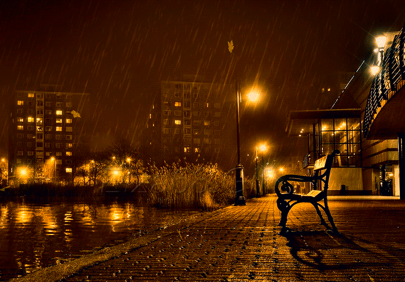 Осенний Дождь В Городе Фото