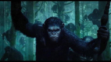 Анимация Кадры из фильма Dawn of the Planet of the Apes / Планета обезьян: Революция, 2014
