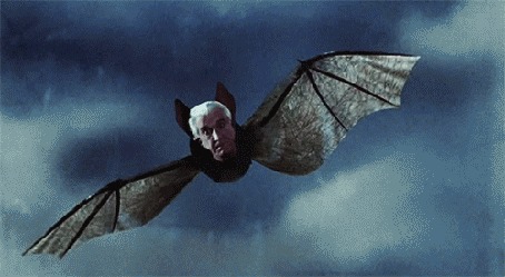 Анимация Летучая мышь с головой человека, кадры из кинокомедии Dracula Dead And Loving / Дракула: Мертвый и довольный