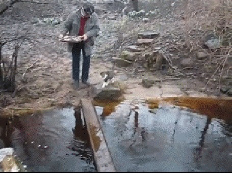 Анимация Кошка, аккуратно ступая, чтобы не замочить лапки, переходит через канаву по узенькому мостику