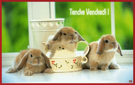 Анимация Кролики на фоне посуды (Tendre Vendredi!)