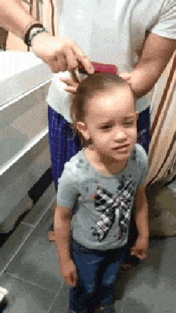 Анимация Маленькой девочке делают прическу, а собака наблюдает за этим процессом