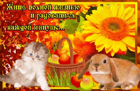 Анимация Солнечная анимация с подсолнухом, котенком и кроликом, корзина с сочными яблочками (Жить полной жизнью и радоваться каждой минуте.)