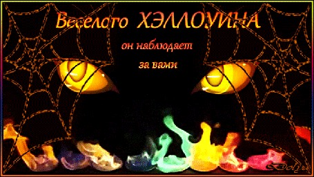 Анимация Кошачьи глаза смотрят сквозь паутину (Веселого Хеллоуина, он наблюдает за вами)