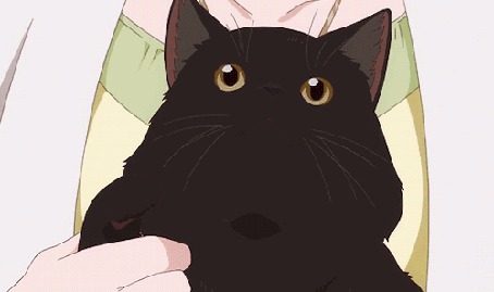 Анимация Кот Дару / Daru из аниме Она и ее кот: Все меняется / Kanojo to Kanojo no Neko: Everything Flows
