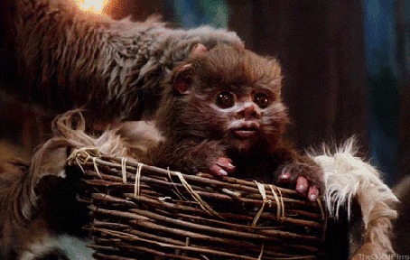 Анимация Ewoks / Эвоки — вымышленная раса существ из фантастической саги Звездные войны