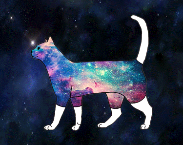 Анимация Абстрактный разноцветный кот нюхает звезды в небе, гифка Абстрактный разноцветный кот нюхает звезды в небе
