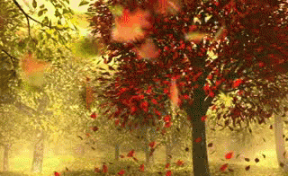 Анимация Медленно падающая осенняя листва, гифка