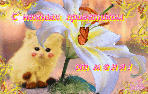 Анимация Славный котик, раскрашенный под Пикачу, сидит под белой лилией, бабочка машет крылышками, (С нежным приветиком от меня!), гифка Славный котик, раскрашенный под Пикачу, сидит под белой лилией, бабочка машет крылышками, (С нежным приветиком от меня!)