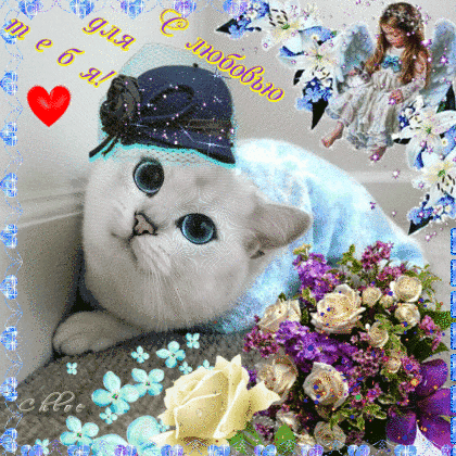 Анимация Синеглазый кот в шляпке, букет цветов, справа вверху ангелочек (С любовью для тебя!), гифка Синеглазый кот в шляпке, букет цветов, справа вверху ангелочек (С любовью для тебя!)
