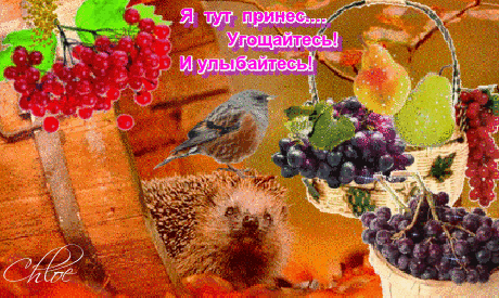 Анимация Ежик, ветка рябины, птичка, корзины с виноградом (Я тут принес. Угощайтесь! И улыбайтесь!), гифка Ежик, ветка рябины, птичка, корзины с виноградом (Я тут принес. Угощайтесь! И улыбайтесь!)
