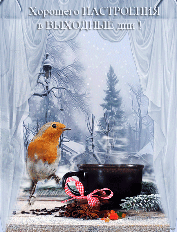 Анимация Птичка на подоконнике стоит рядом с чашкой горячего чая, за окном зимний день.(Хорошего НАСТРОЕНИЯ в ВЫХОДНЫЕ дни! ), автор Ирис, гифка
