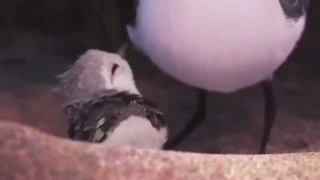 Анимация Птенец прячется, а мама его выталкивает от себя, мультик PiPer - So Cute Bird, гифка Птенец прячется, а мама его выталкивает от себя, мультик PiPer - So Cute Bird