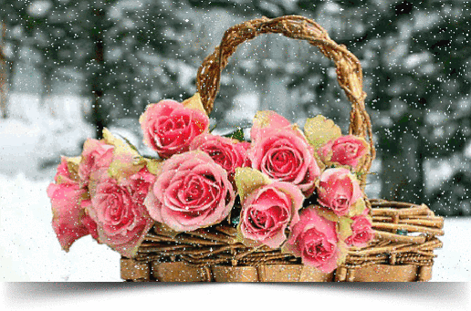 Анимация Букет розовых роз в корзине под падающим снегом, гифка Букет розовых роз в корзине под падающим снегом