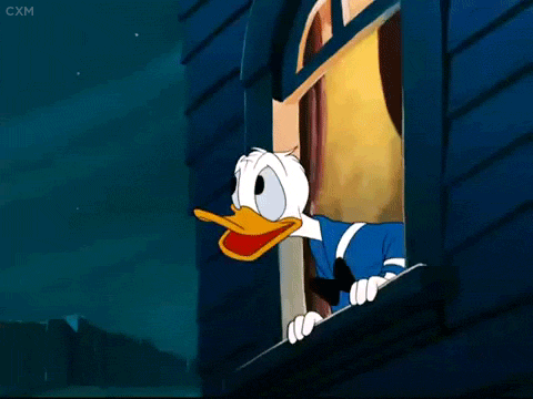 Анимация Donald Duck / Дональд дак в окне, мультфильм Disney / Диснея, гифка Donald Duck / Дональд дак в окне, мультфильм Disney / Диснея
