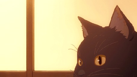 Анимация Дару / Daru из аниме Она и ее кот: Все меняется / Kanojo to Kanojo no Neko: Everything Flows