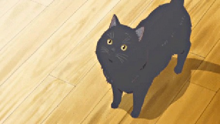 Анимация Дару / Daru из аниме Она и ее кот: Все меняется / Kanojo to Kanojo no Neko: Everything Flows