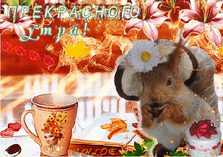 Анимация Утро, чашка чая с паром, белочка в шляпке, конфеты Раффаэлло, лилии вверху, (Прекрасного утра!)