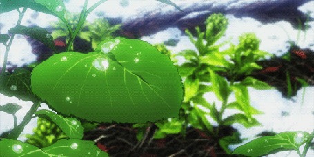 Анимация Капля воды стекает с зеленого листа