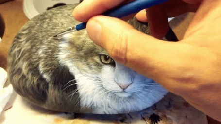 Анимация Человек разрисовывает кота