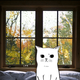 Анимация Белый котик сидит на кровати у окна, за которым идет дождь и падают осенние листья, гифка Белый котик сидит на кровати у окна, за которым идет дождь и падают осенние листья