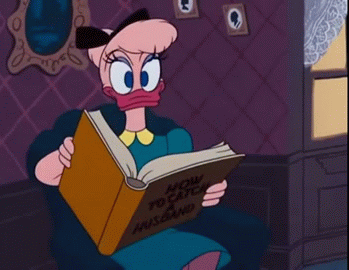 Анимация Daisy Duck / Дейзи Дак с книгой, герой мультфильма студии Walt Disney / Волта Диснея, гифка Daisy Duck / Дейзи Дак с книгой, герой мультфильма студии Walt Disney / Волта Диснея