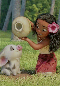Анимация Moana Waialiki / Моана Ваялики поит водой из кувшина Поросенок Пуа / Pua из мультфильма Моана / Moana, гифка Moana Waialiki / Моана Ваялики поит водой из кувшина Поросенок Пуа / Pua из мультфильма Моана / Moana